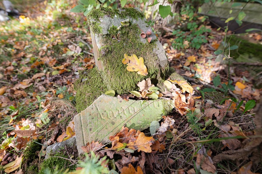 Cmentarz ewangelicki w Grabownicy - w środku pola, w niewielkim zagajniku