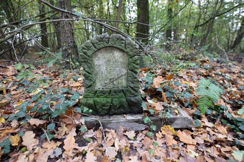 Cmentarz Lauterbach&oacute;w w Wilczynie