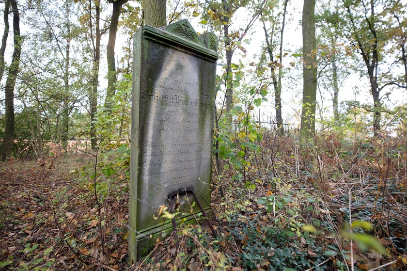 Cmentarz ewangelicki w Grabownicy - w środku pola, w niewielkim zagajniku