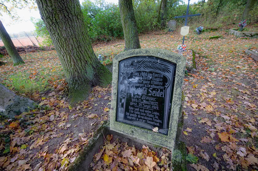 Cmentarz ewangelicki w Grabownicy - w środku pola, w niewielkim zagajniku