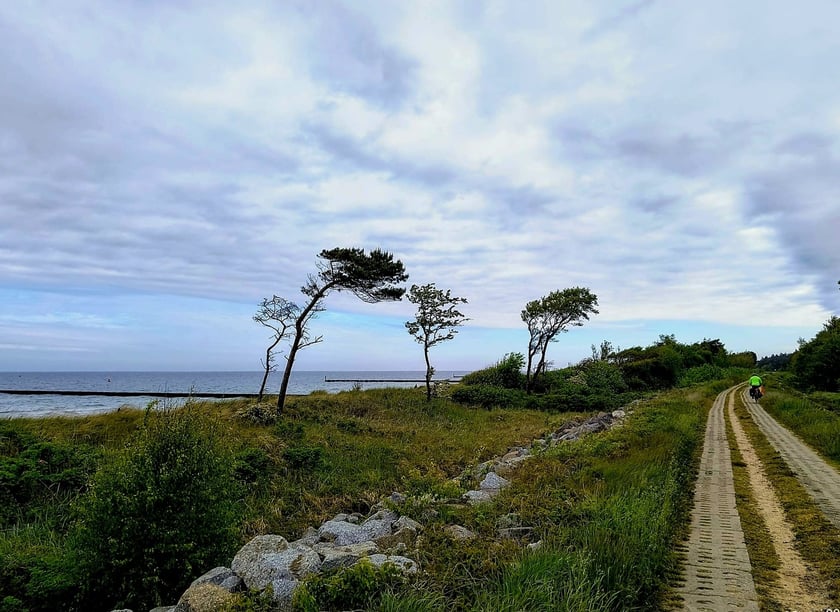 J&J dookoła Polski. Są już na półmetku i zapraszają na spotkanie w CAL na Maślicach | ZDJĘCIA