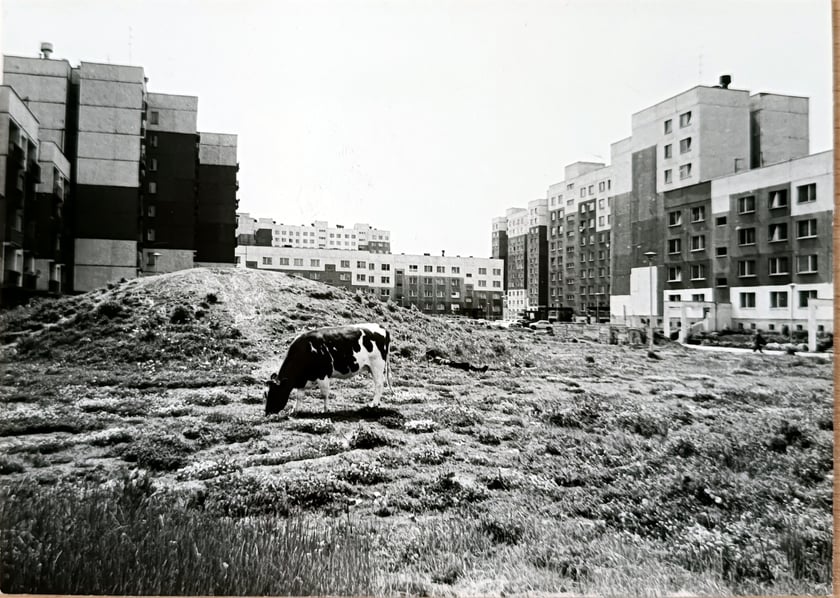 Osiedle Nowy Dwór we Wrocławiu - zdjęcia archiwalne, które będą prezentowane na wystawie "Projekt Nowy Dwór" w CK Nowy Pafawag