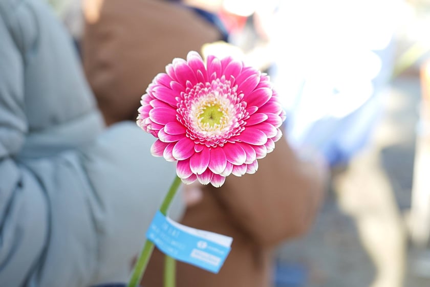 Odsłonięcie Ławeczki Życzliwości na bulwarze Xawerego Dunikowskiego, 21 listopada 2025