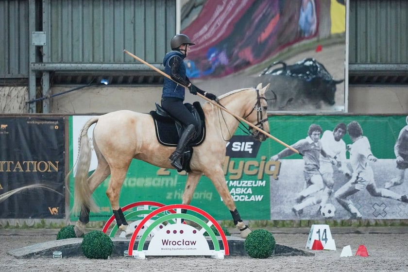 Na Partynicach rozgrywano Mistrzostwa Polski w Working Equitation.