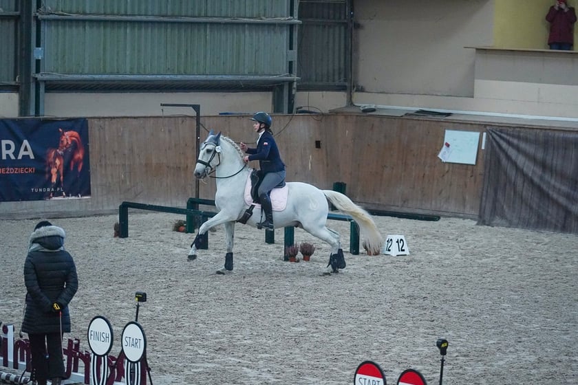 Na Partynicach rozgrywano Mistrzostwa Polski w Working Equitation.