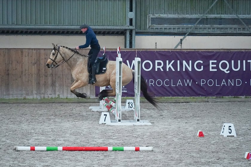 Na Partynicach rozgrywano Mistrzostwa Polski w Working Equitation.