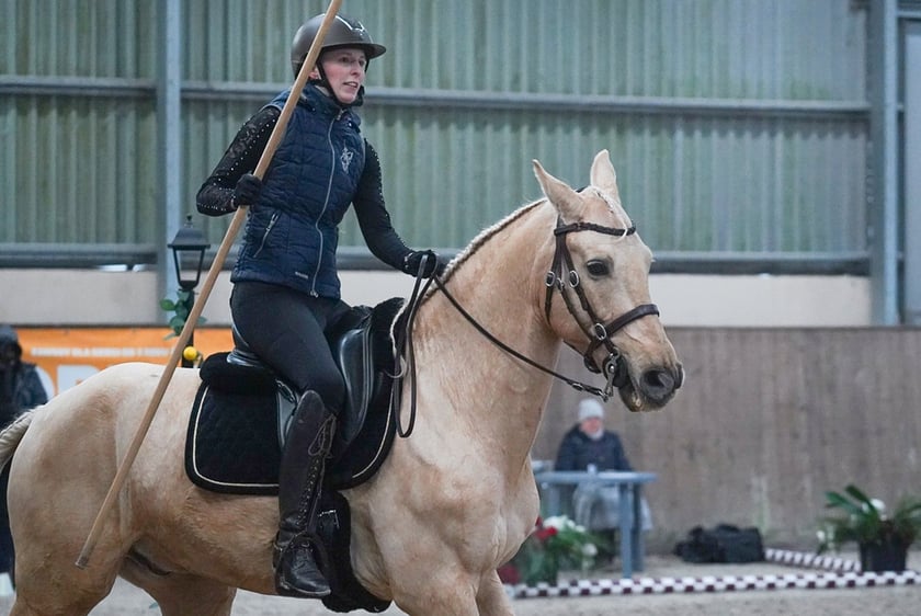 Na Partynicach rozgrywano Mistrzostwa Polski w Working Equitation.