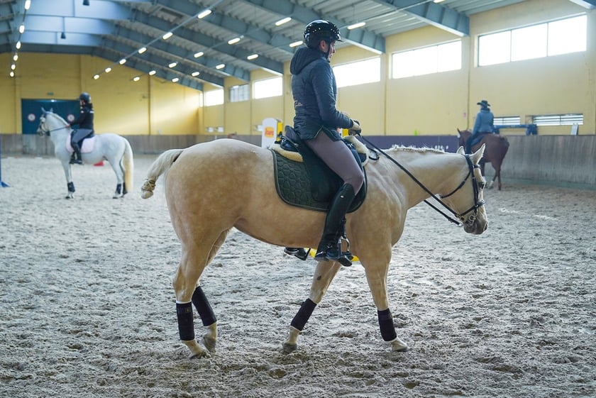 Na Partynicach rozgrywano Mistrzostwa Polski w Working Equitation.