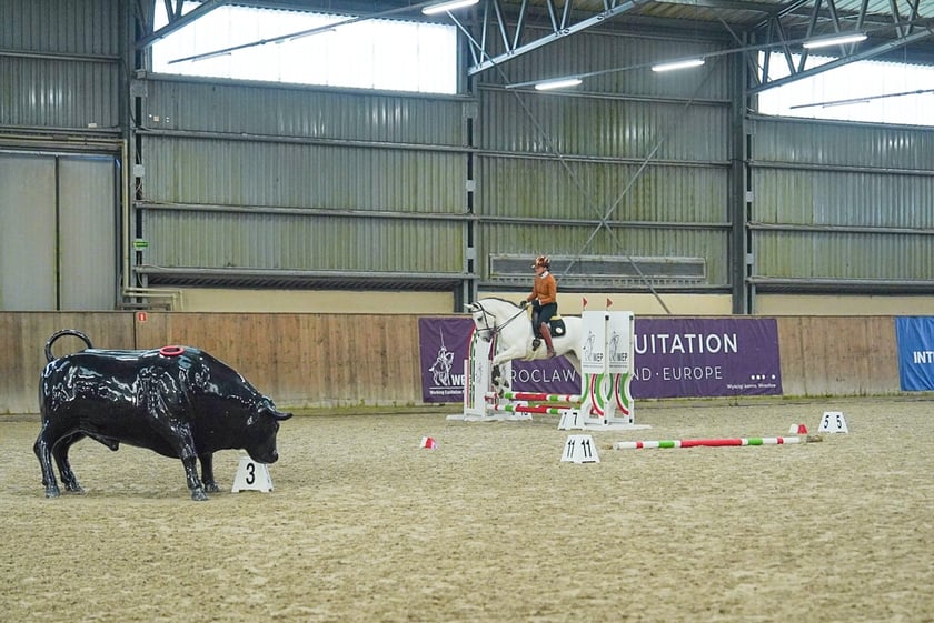 Na Partynicach rozgrywano Mistrzostwa Polski w Working Equitation.