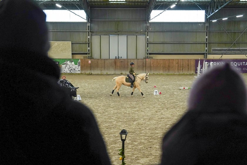 Na Partynicach rozgrywano Mistrzostwa Polski w Working Equitation.