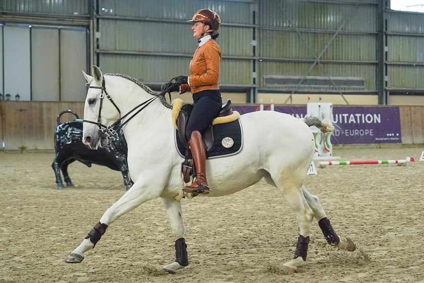 Na Partynicach rozgrywano Mistrzostwa Polski w Working Equitation.