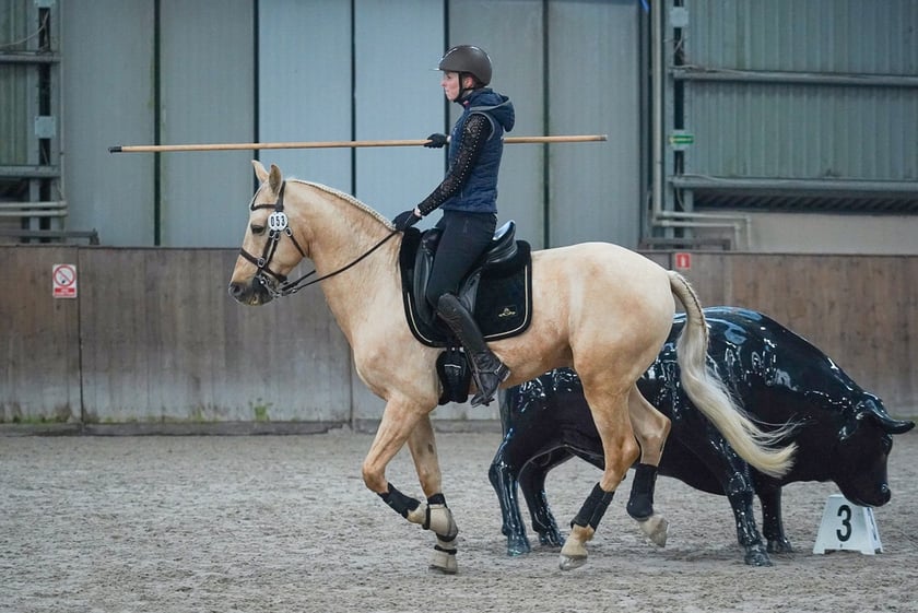 Na Partynicach rozgrywano Mistrzostwa Polski w Working Equitation.