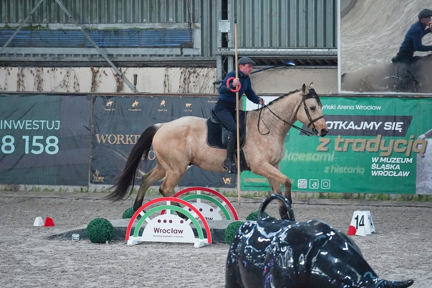 Na Partynicach rozgrywano Mistrzostwa Polski w Working Equitation.