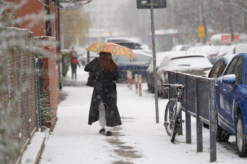 Pierwszy śnieg we Wrocławiu, 24.11.2025