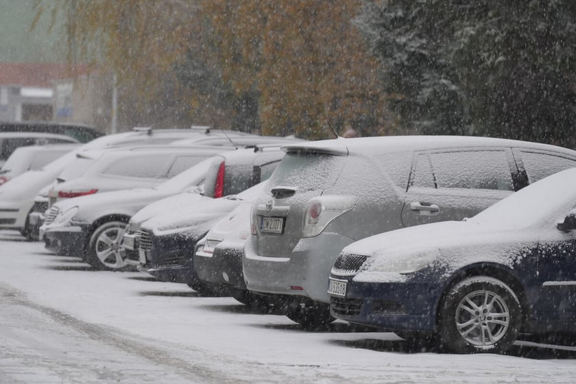 Pierwszy śnieg we Wrocławiu, 24.11.2025