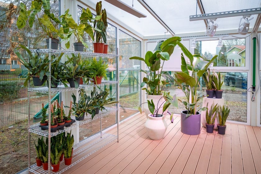 Branżowe Centrum Umiejętności w dziedzinie florystyki w Zespole Szkół nr 3