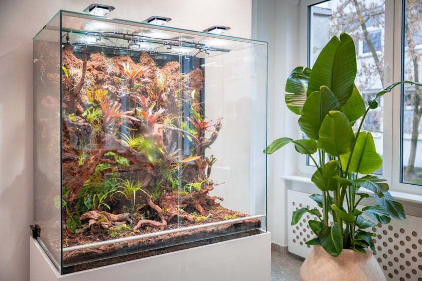 Branżowe Centrum Umiejętności w dziedzinie florystyki w Zespole Szkół nr 3