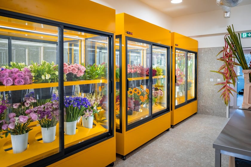 Branżowe Centrum Umiejętności w dziedzinie florystyki w Zespole Szkół nr 3