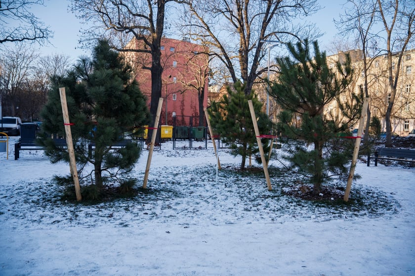 Podw&oacute;rko pomiędzy ulicami&nbsp;Komuny Paryskiej, Krasińskiego, Worcella i Pułaskiego częściowo już po remoncie