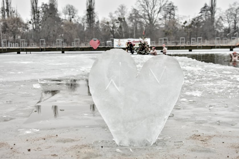 Wrocławskie Morsy grają z WOŚP. Kąpielisko Morskie Oko, 25.01.2026