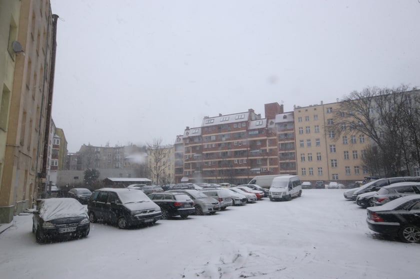 Choć teraz tego nie widać, podw&oacute;rko jest zielone, a zieleń ta zostanie poddana rewitalizacji