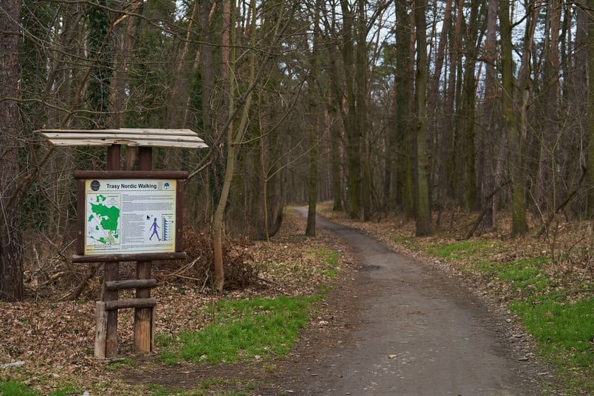 Las Mokrzański