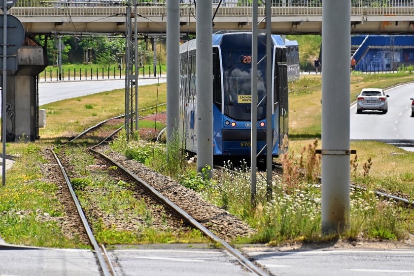 Najważniejszym elementem remontu torowiska w ul. Legnickiej jest odcinek od ul. Zachodniej do Niedźwiedziej.