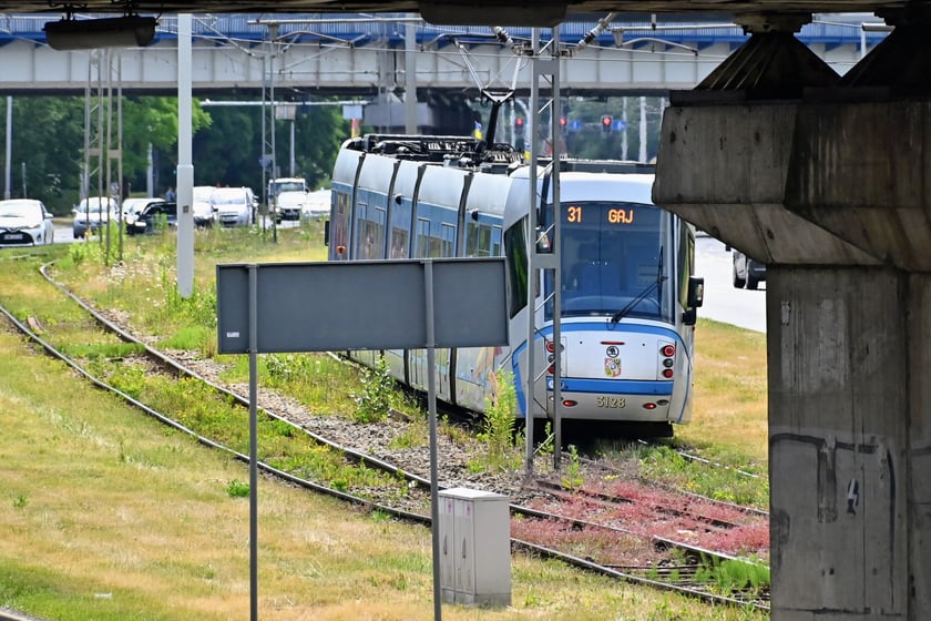 Najważniejszym elementem remontu torowiska w ul. Legnickiej jest odcinek od ul. Zachodniej do Niedźwiedziej.