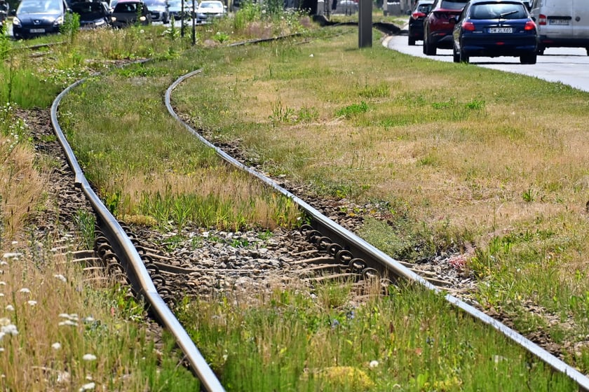 Najważniejszym elementem remontu torowiska w ul. Legnickiej jest odcinek od ul. Zachodniej do Niedźwiedziej.