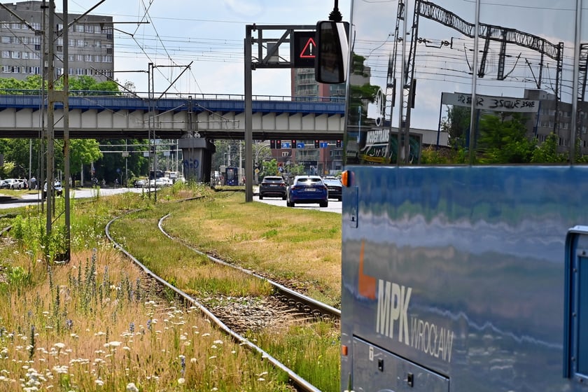Najważniejszym elementem remontu torowiska w ul. Legnickiej jest odcinek od ul. Zachodniej do Niedźwiedziej.