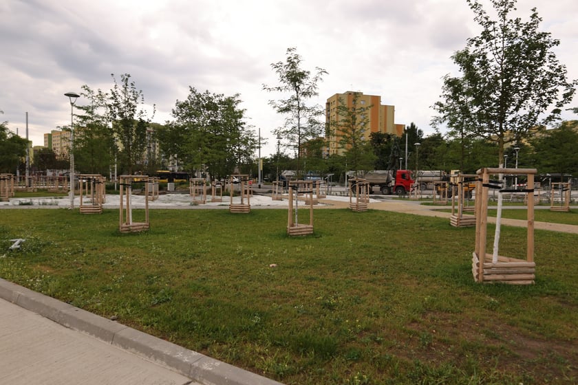 Pętla TAT na Nowym Dworze - lipiec 2023 r.