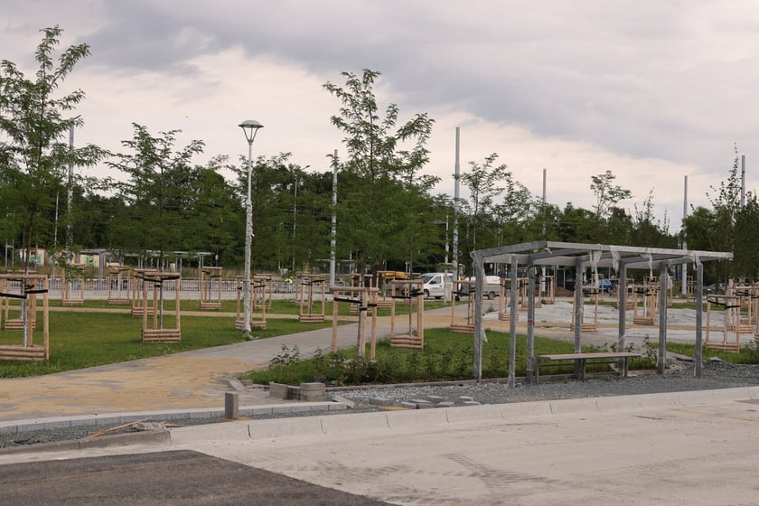 Pętla TAT na Nowym Dworze - lipiec 2023 r.