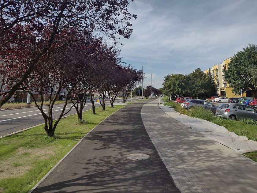 TAT z perspektywy roweru