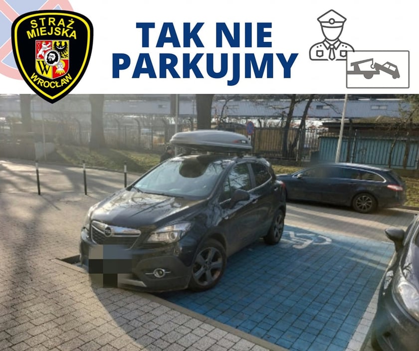 "Mistrzowie parkowania" z Wrocławia