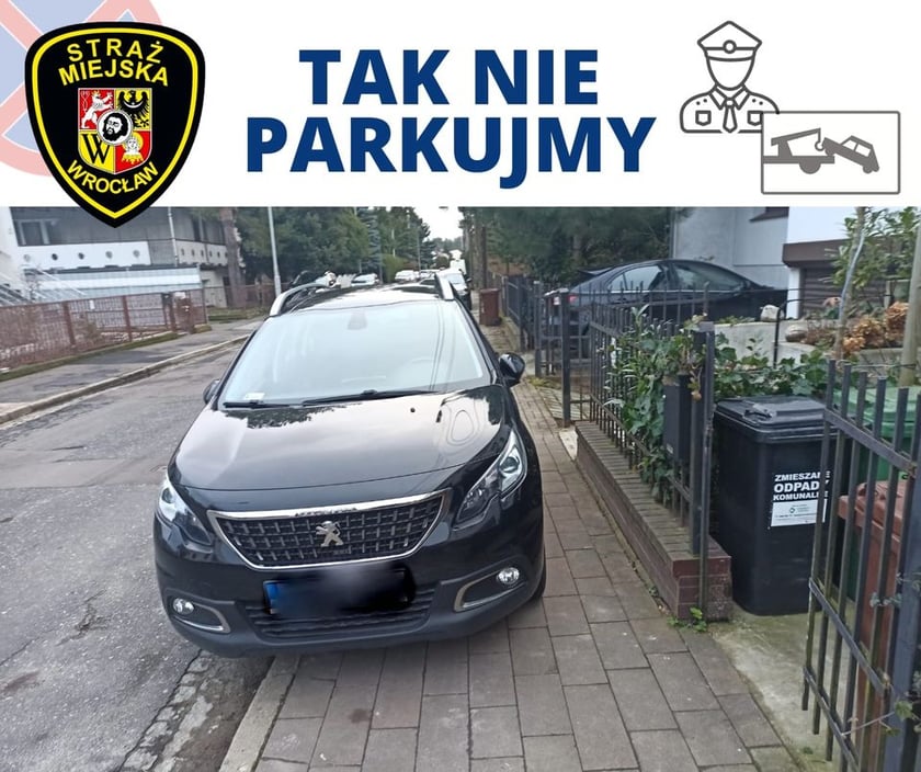 "Mistrzowie parkowania" z Wrocławia