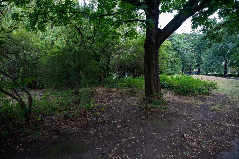 Remont pl. Powstańców Śląskich - miasto szuka projektanta