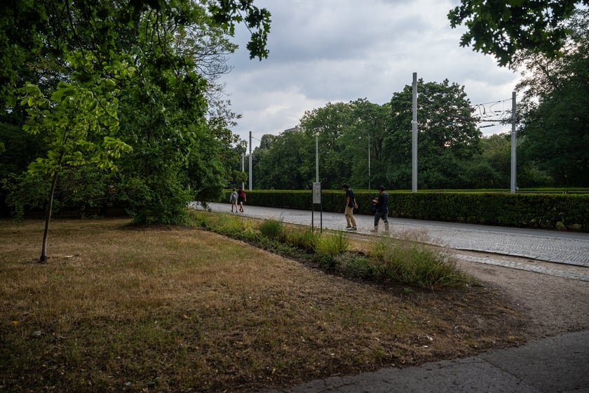 Remont pl. Powstańców Śląskich - miasto szuka projektanta