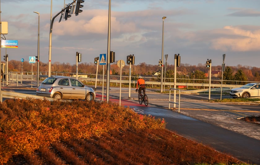 Aleja Wielkiej Wyspy w złotej godzinie - w blasku zachodzącego słońca