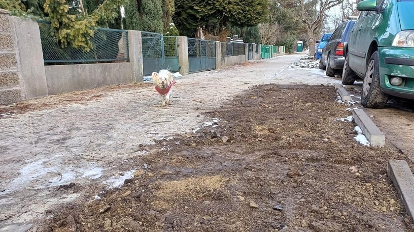 Remont chodnika na ul. Odkrywców