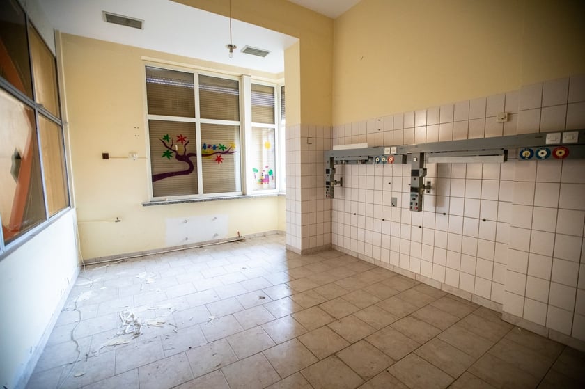 Kliniki na Bujwida, miejsce Survivalu 2026