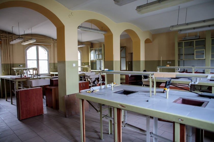 Kliniki na Bujwida, miejsce Survivalu 2026
