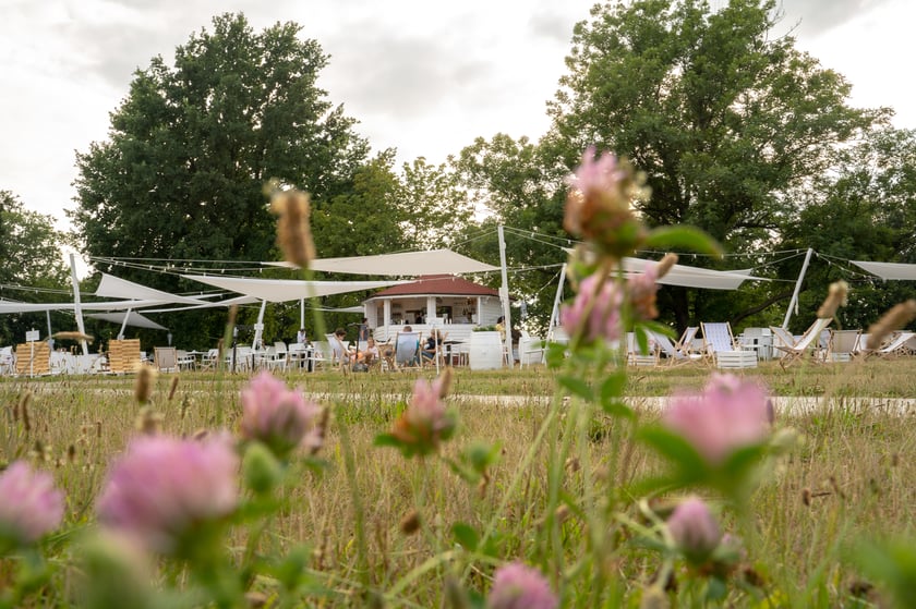 Koncert Łom w Babim Lecie 16 lipca