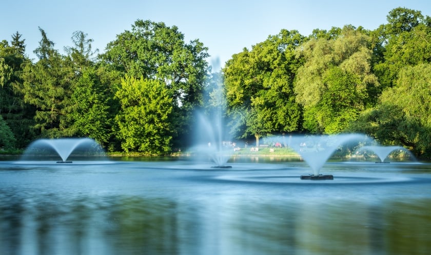 Koncert Dominik Mąkosa Quartet w parku Południowym 9 lipca
