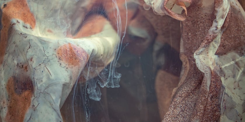 Zdjęcia promujące wystawę Artifictions