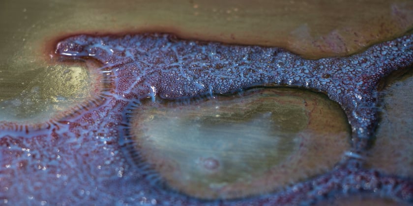 Zdjęcia promujące wystawę Artifictions