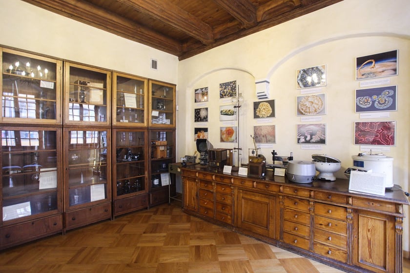 Noc Muzeów w Muzeum Farmacji