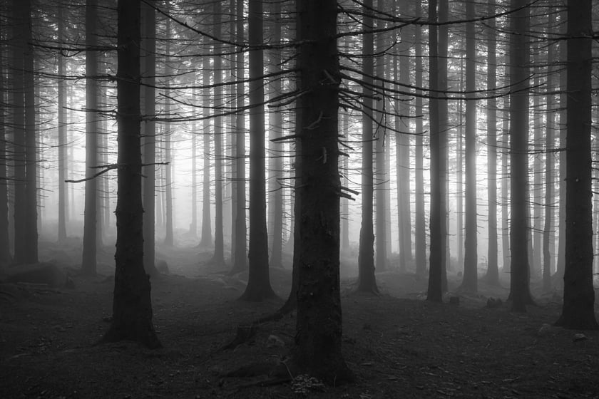 Fotoreportaż z górskiej chaty, w której spotykają się wędrowcy // 2. miejsce w kategorii Documentary Project Grand Press Photo 2023