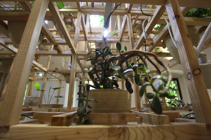 Kwiaty na wystawie w Muzeum Architektury