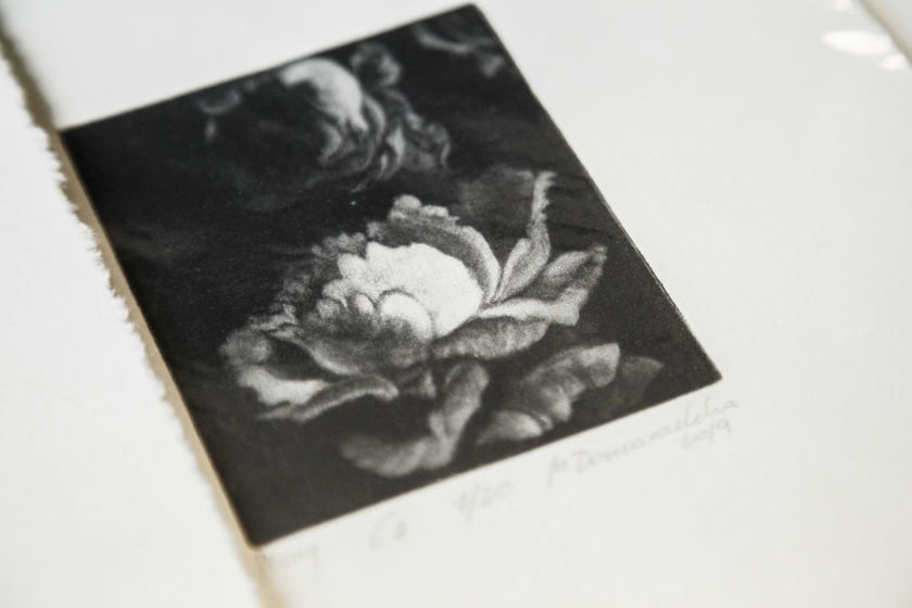 Grafika artystyczna Malwy Domaradzkiej