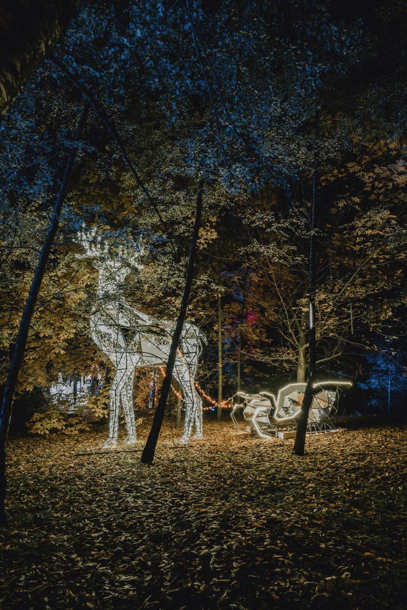 Bajkowy świat czeka na dzieci i dorosłych w Zamku Topacz pod Wrocławiem. Lumina Park zaprasza pod koniec października